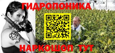 ешки Лесосибирск