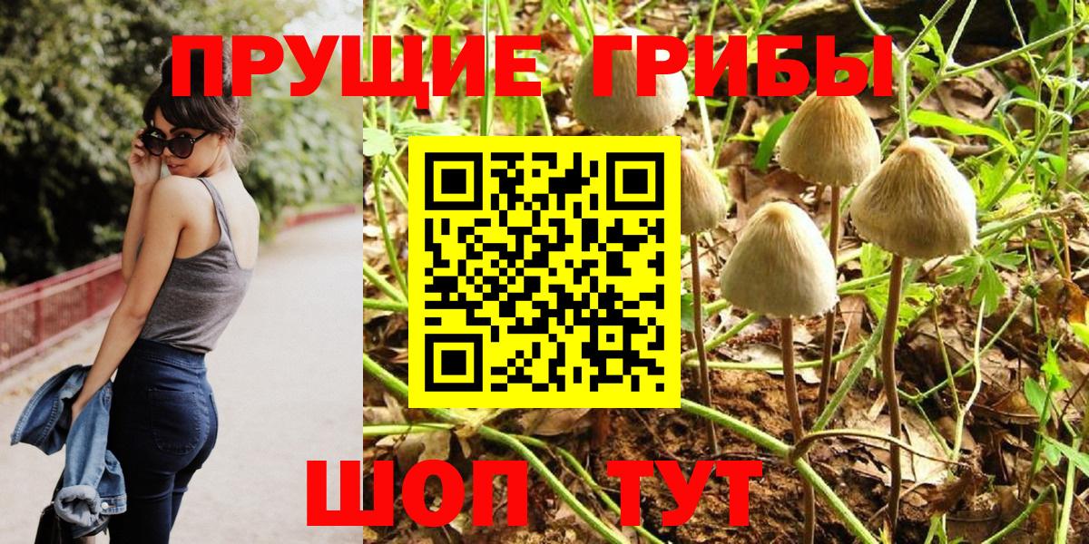 Псилоцибиновые грибы Magic Shrooms  Вход с VPN  Домодедово 